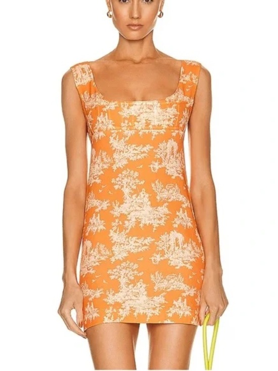 Miaou Dresses & Skirts - $410 Miaou Vivi Clementine Print Mini Dress